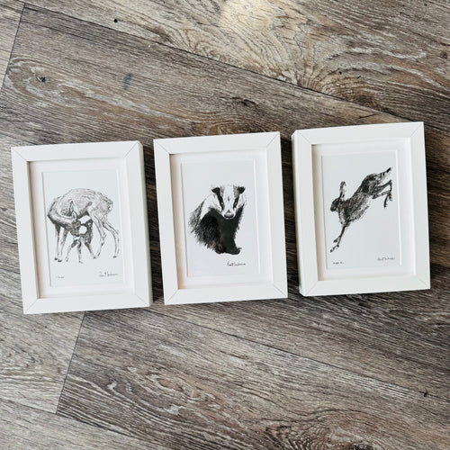 Woodland Animals - framed