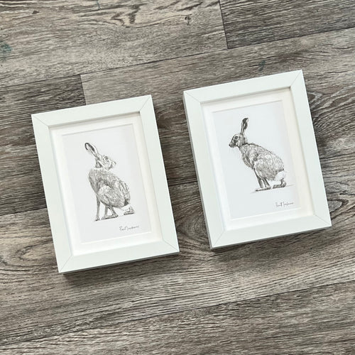 ‘Two Hares’ - framed